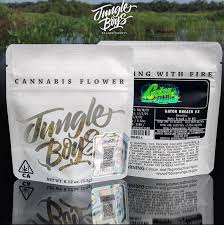 Jungle Boys Perfect Triangle